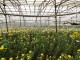 DaLat Countryside Tour 1 Day